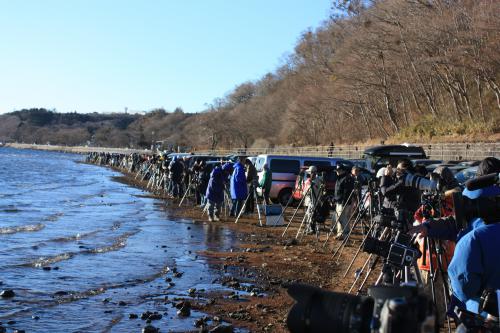 ��ʿ�����������ޤ�ץ��